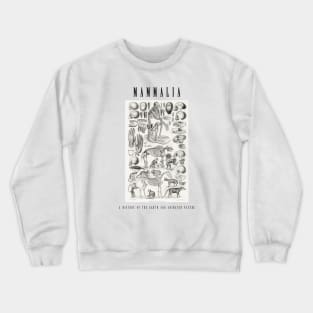 Vintage Mammal Skeleton Illustration Crewneck Sweatshirt